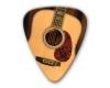 Themed Series Guitar Picks - Acoustic Guitar