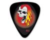 Collectors Series Flaming Skull Guitar Pick