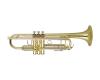 Wisemann Standard Bb Trumpet DTR-250