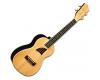 Eddy Finn EF-21C Bamboo Concert Ukulele