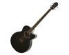 Aria Acoustic Bass Black FEB-30BK