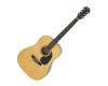 Fiesta Acoustic Guitar FST-300 Natural