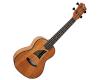 Eddy Finn Tropical Mahogany Concert Ukulele EF-9-C