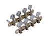 Mandolin Machine Heads Nickel PM700A