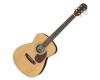 Aria ADF-01 Folk Acoustic Guitar