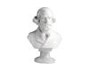 Musicians & Composers Bust - Verdi 22cm