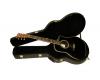 Guardian Roundback Acoustic Guitar Case 020RS