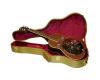 Guardian Tweed Square Neck Resonator Guitar Case 035