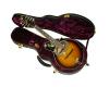 Guardian 044 Vintage Series  Mandolin Case - Suit Paris Swing Mandolins