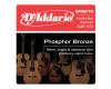 D'Addario Phosphor Bronze Acoustic Bass 45-100 - EPBB170