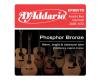 D'Addario Phosphor Bronze Acoustic Bass 45-100 - EPBB170