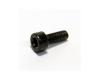 Schaller Floyd Rose Saddle Mount Screw 387000