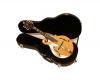 Guardian 020 Series Mandolin Case F style